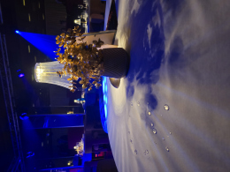 Hotel Diplomat září 2020